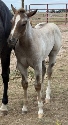 IMG_1882.jpg