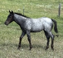 IMG_1812.jpg