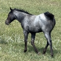 IMG_1818.jpg